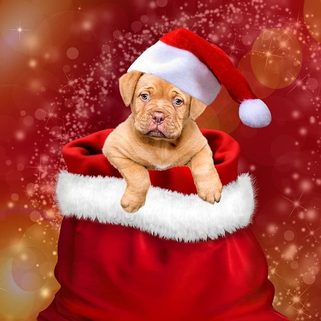 10 stratégies pour réussir la revente de vos cadeaux de Noël