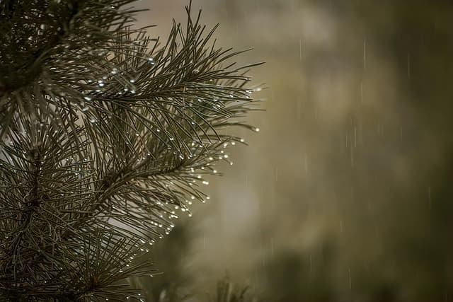 Les 10 meilleures plateformes pour revendre vos cadeaux de Noël